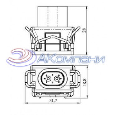 СЦНК.434438.116 Колодка гнездовая 2-х контактная аналог Packard12129140